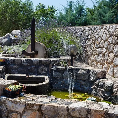 Vrsek Vrbnik (Primorje-Gorski Kotar)